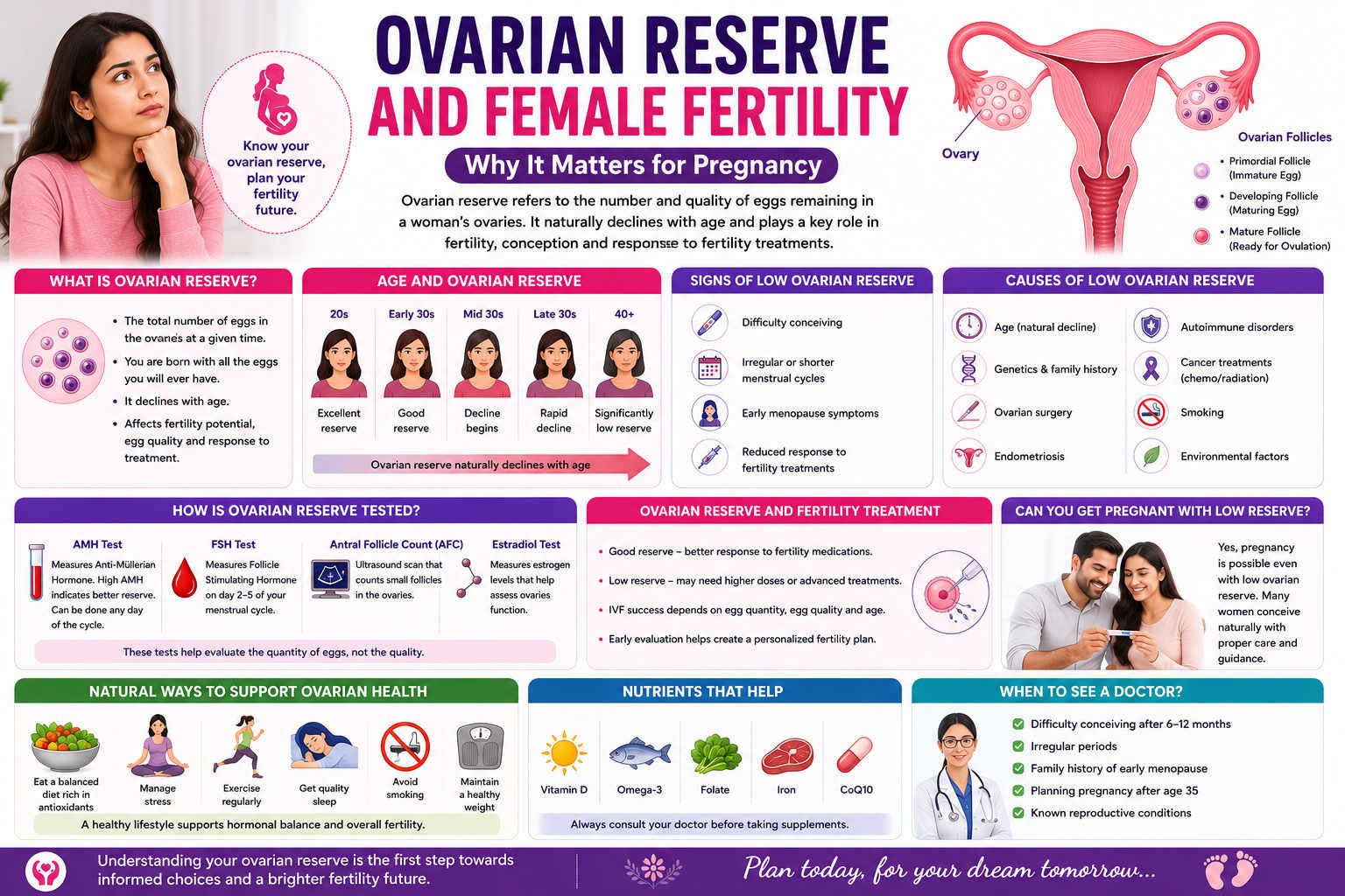 Ovarian Reserve and Female Fertility
